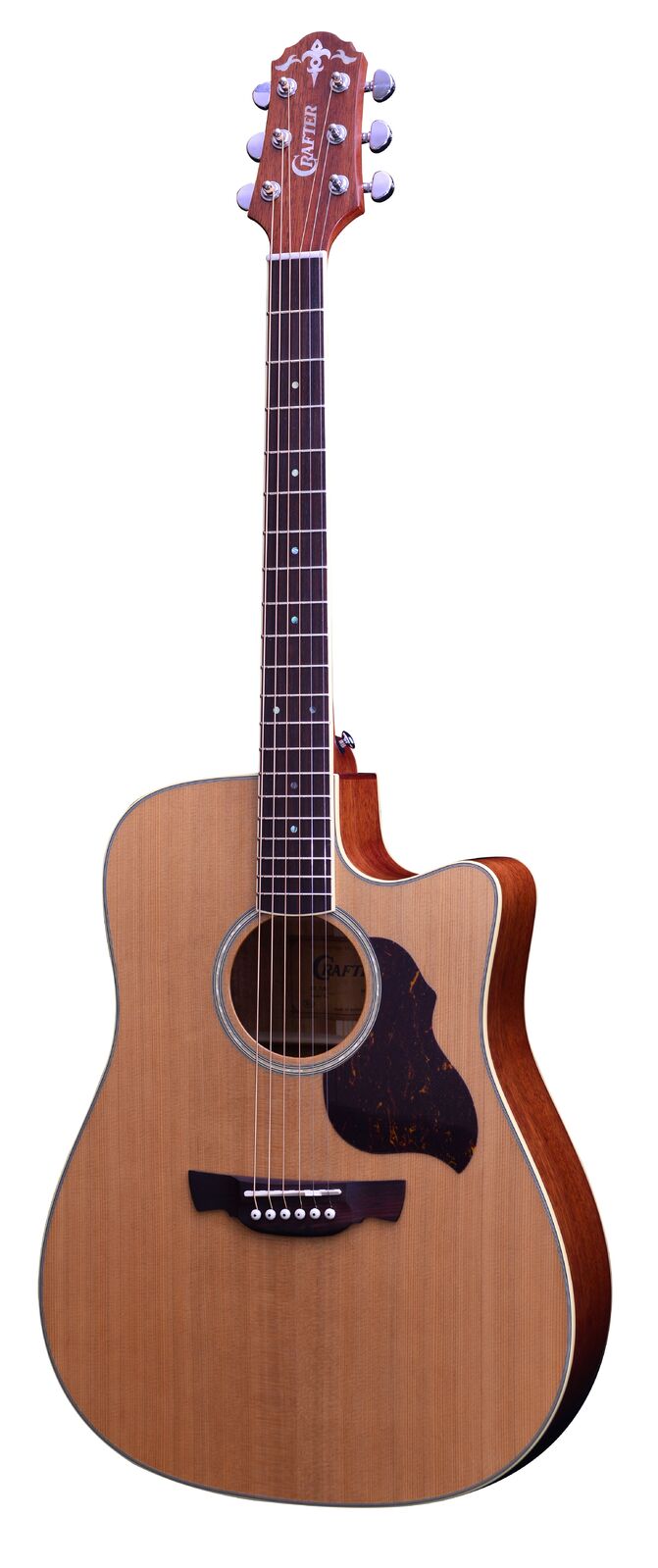 ACOUSTIC ELECTRIC GUITAR