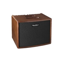 H &amp; K ERA 1 WOOD ACOUSTIC COMBO