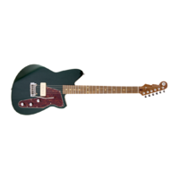 REVEREND KYLE SHUTT SIGNATURE VNGD-PF
