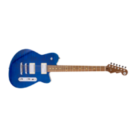 REVEREND CHARGER RA TRBL-DP