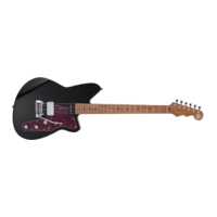 REVEREND DOUBLE AGENT W/WILKINSON TREM MDBK-RM
