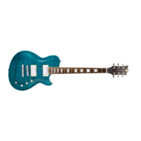 REVEREND ROUNDHOUSE FM TRTQ-PF
