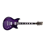 REVEREND SENSEI RA PPBU-E