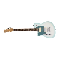 REVEREND DOUBLE AGENT OG LEFTY CBBU RW