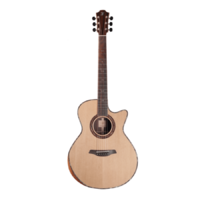 FURCH RED DELUXE Gc-SR ANTHEM