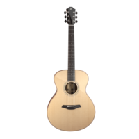 FURCH YELLOW PLUS G-SP EAS-VTC