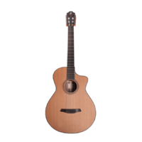 FURCH GNc 2-CW EAS-VTC
