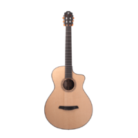 FURCH GNc 2-SW EAS-VTC